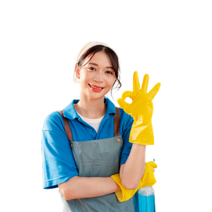 House cleaning in Santa Rosa CA