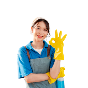 House cleaning in Santa Rosa CA